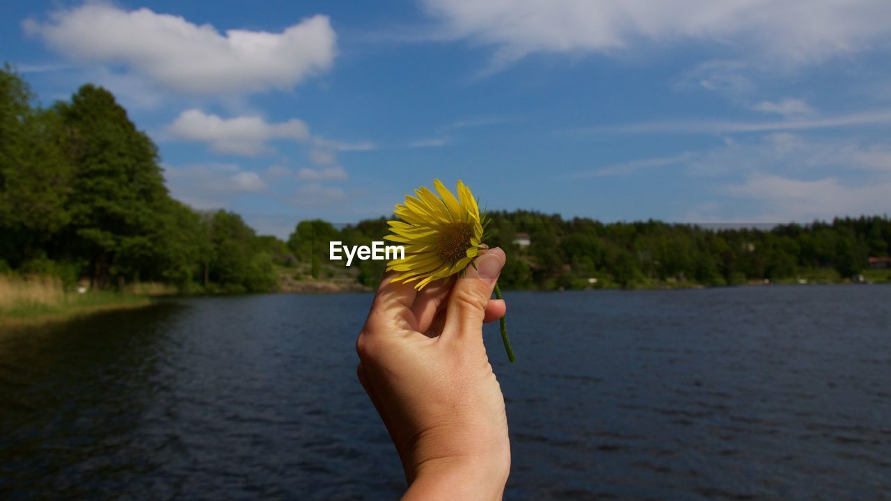 Cropped image of person hand holding yellow flower by lake against sky