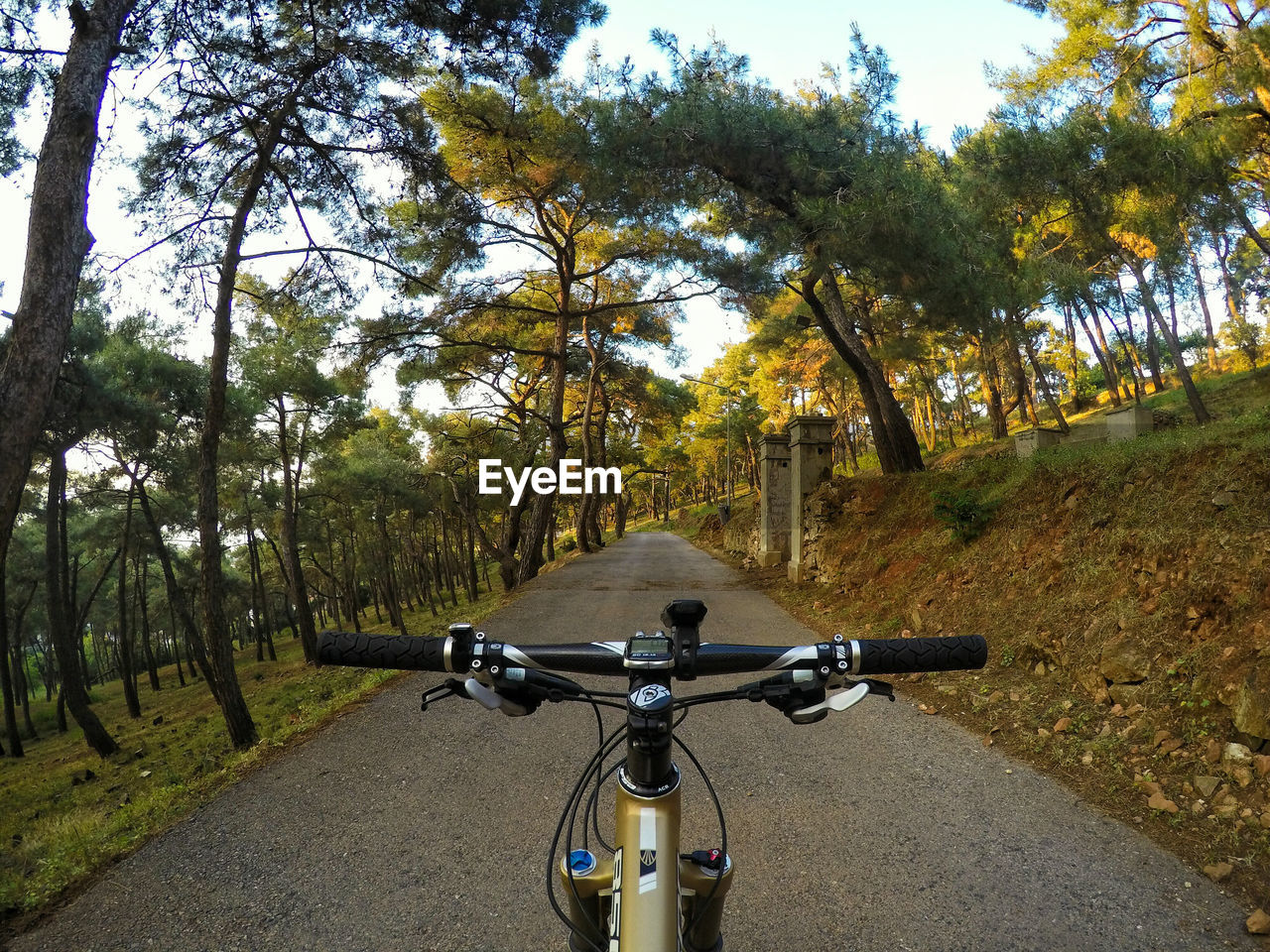 Bicycle on road against trees