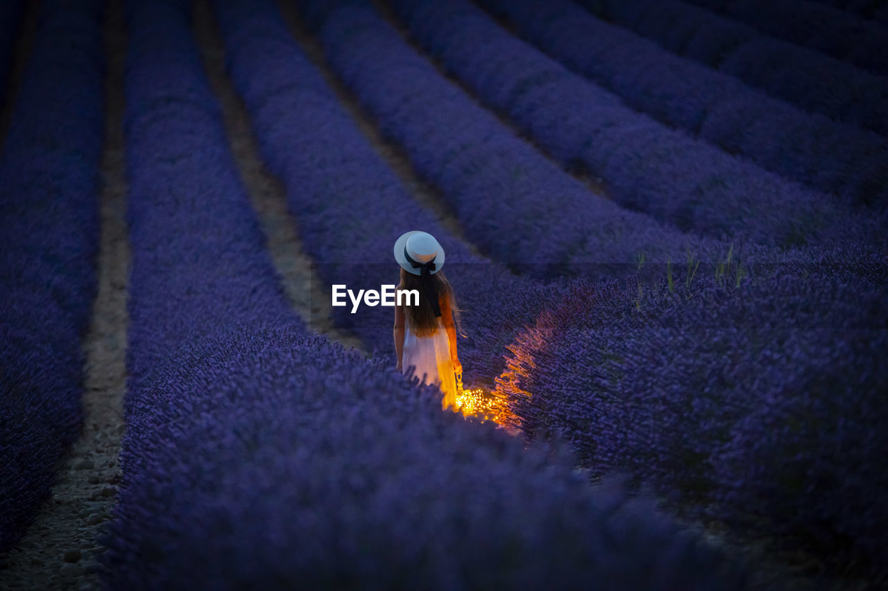 Rear view of woman holding illuminated lighting equipment while standing amidst flowering plants on field during sunset