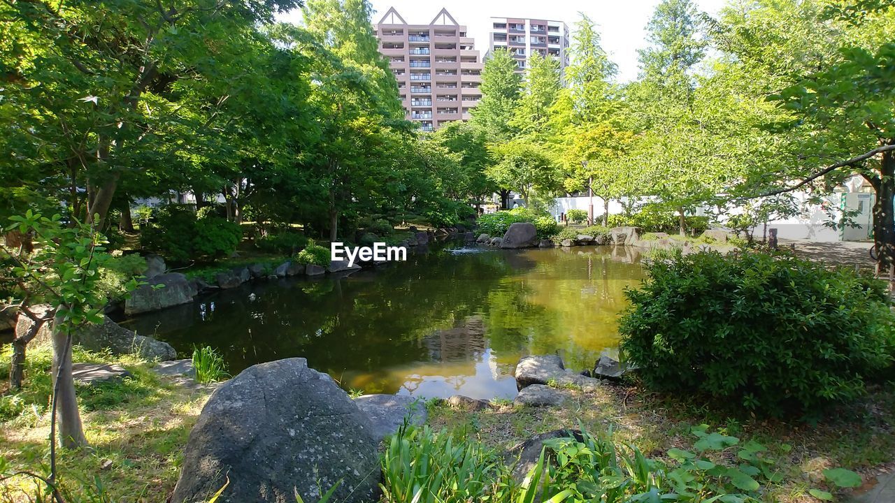 VIEW OF LAKE ALONG PLANTS