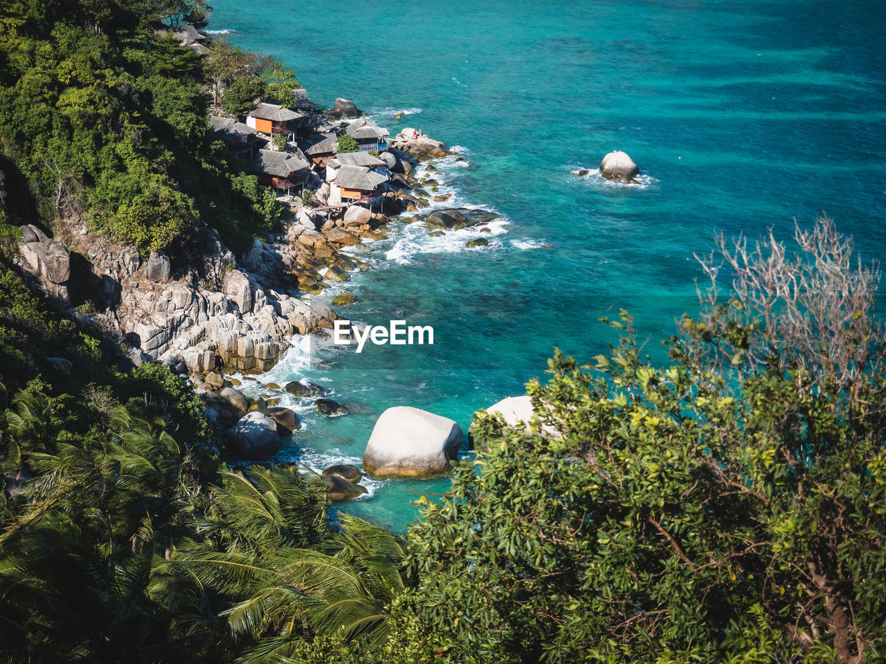 water, sea, beauty in nature, plant, high angle view, nature, land, scenics - nature, coast, rock, beach, day, tranquility, tree, no people, tranquil scene, ocean, body of water, bay, cliff, shore, outdoors, idyllic, cove, blue, growth, non-urban scene, travel, sunlight, coastline, terrain, nautical vessel, travel destinations, rock formation