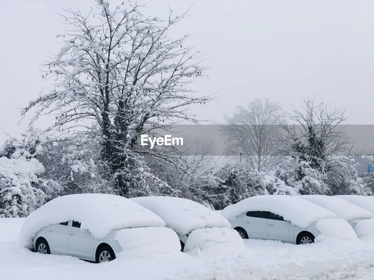 Extreme weather conditions - cars covered in snow during winter