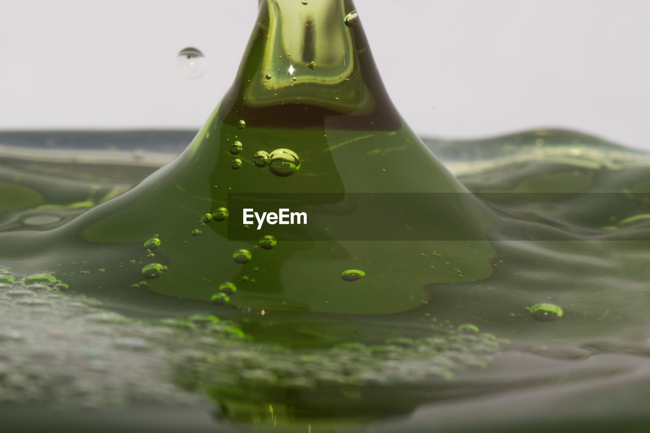 CLOSE-UP OF WATER DROPS ON LEAF