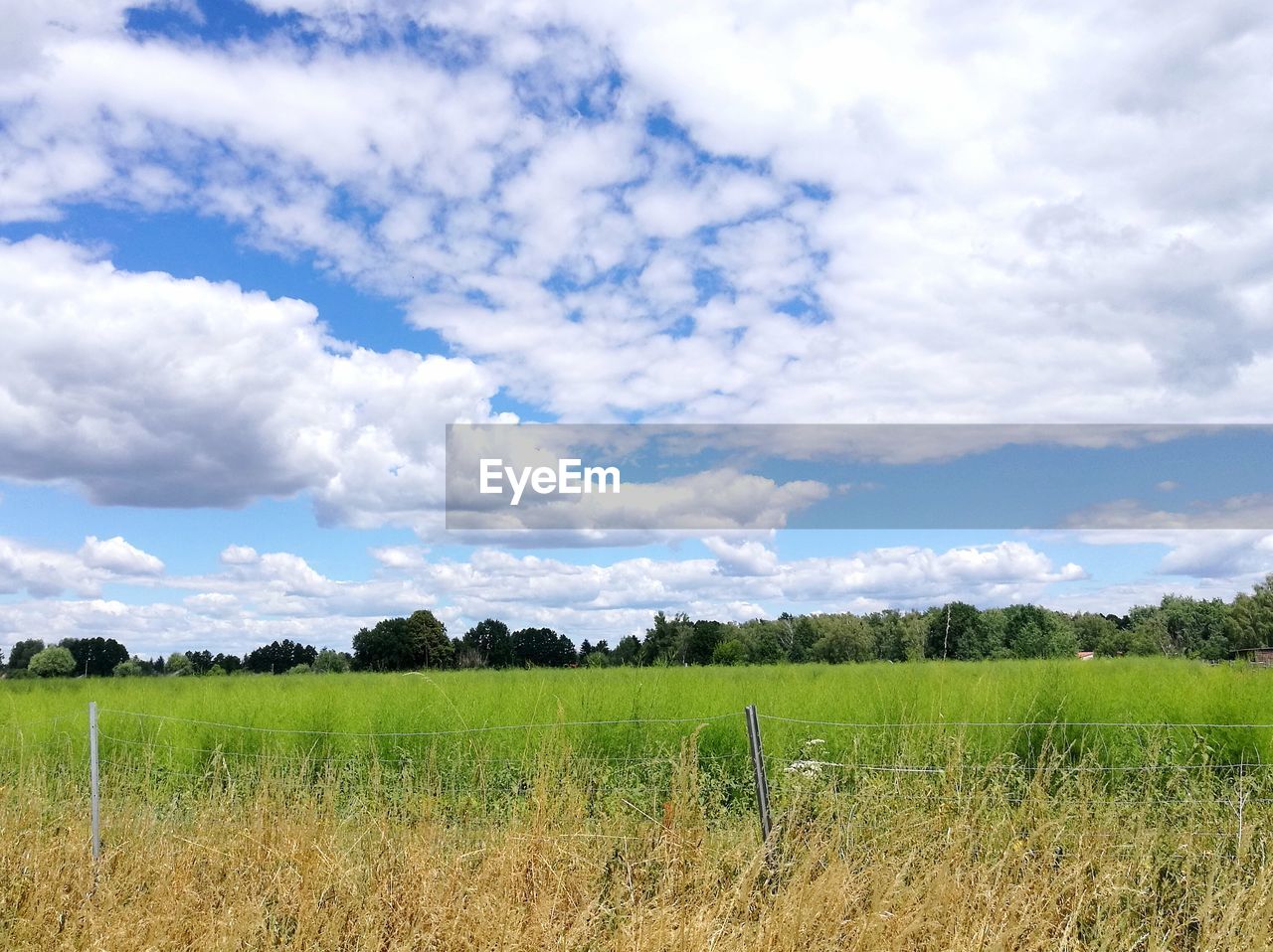 SCENIC VIEW OF FARM FIELD AGAINST SKY