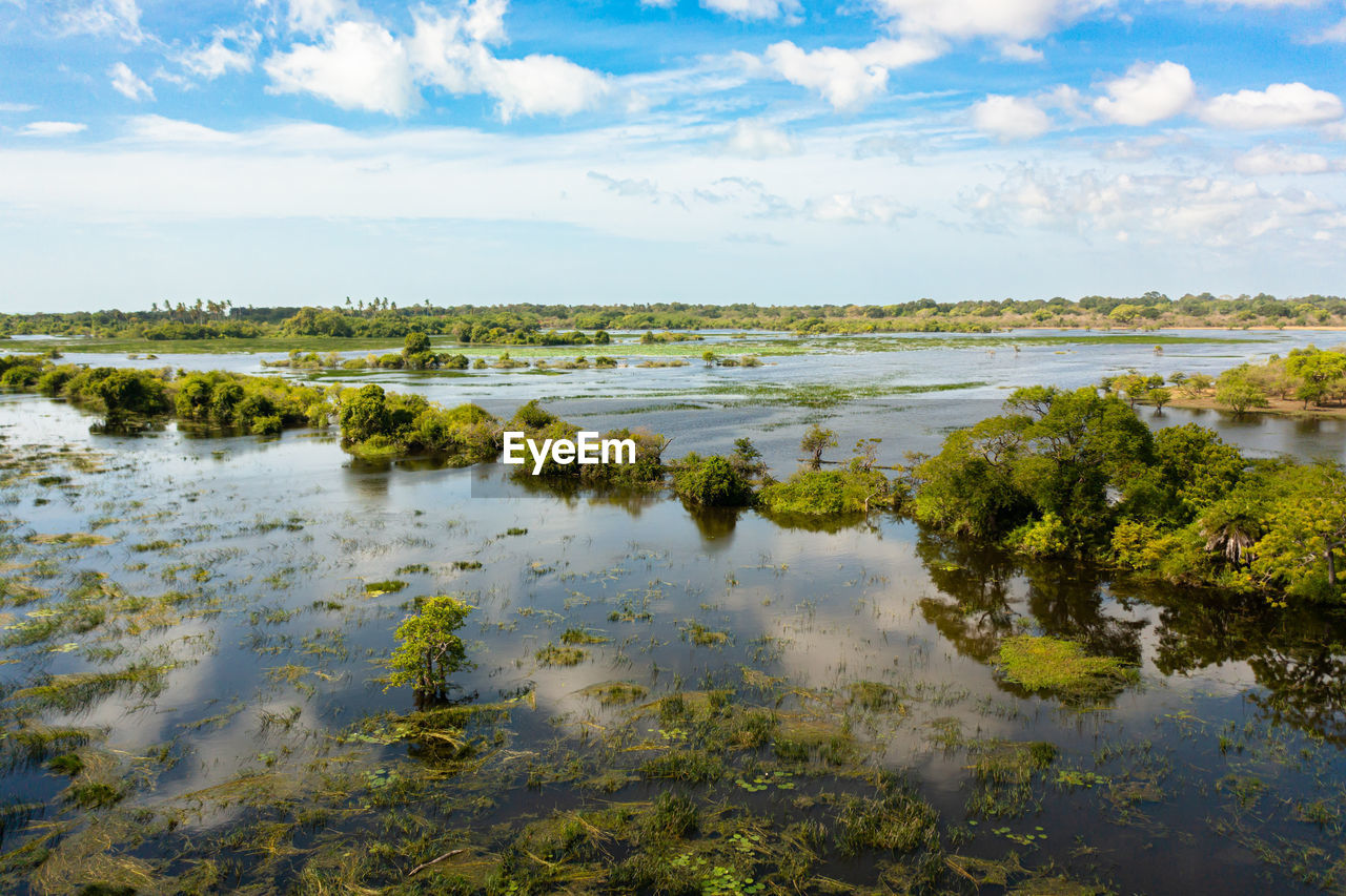 Top view of lake with tropical vegetation in kumana national park. sri lanka.