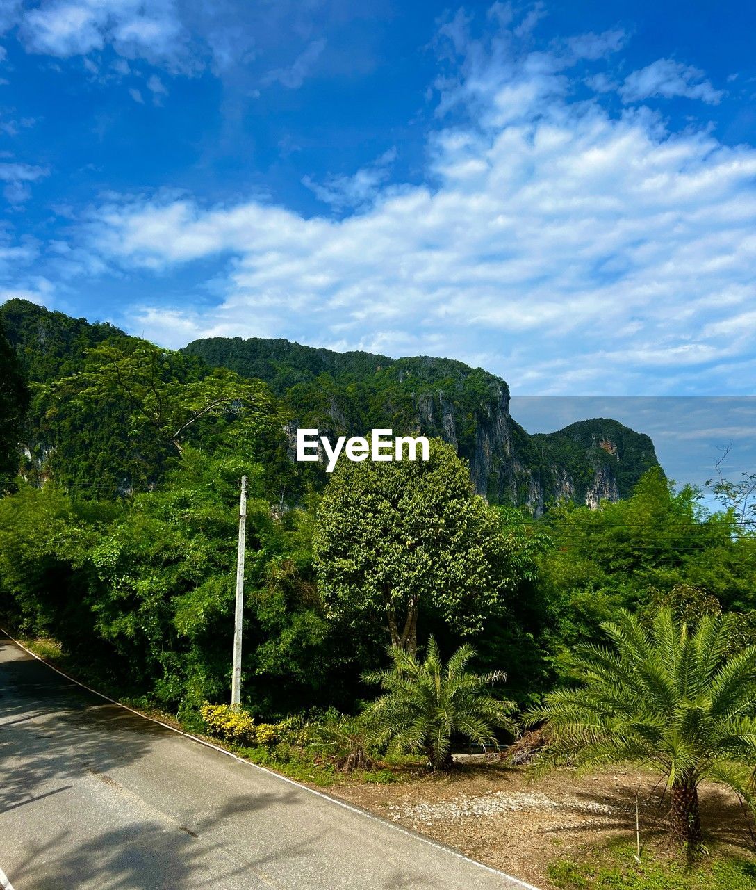 plant, tree, sky, nature, landscape, cloud, beauty in nature, no people, scenics - nature, environment, road, mountain, green, land, outdoors, tranquility, blue, day, travel, transportation, growth, travel destinations, footpath, grass, tropical climate, tranquil scene, sunlight, non-urban scene, street, rural area, tourism