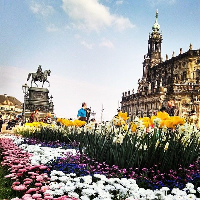 VIEW OF FLOWERS IN A PARK