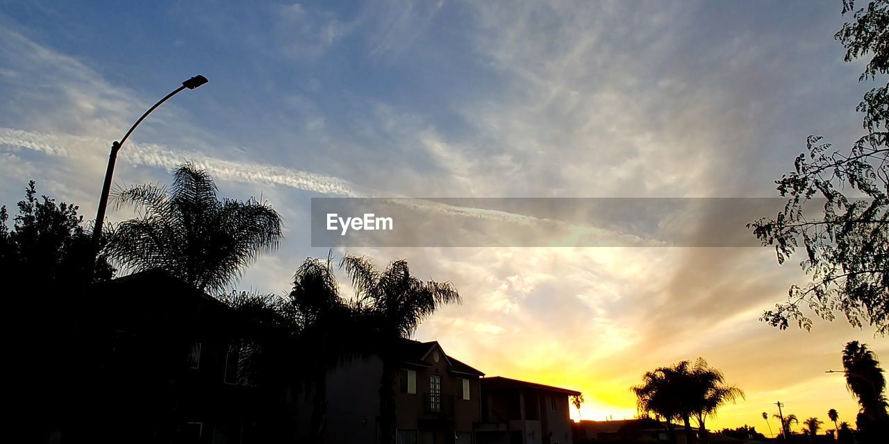 LOW ANGLE VIEW OF SILHOUETTE TREE AGAINST SKY