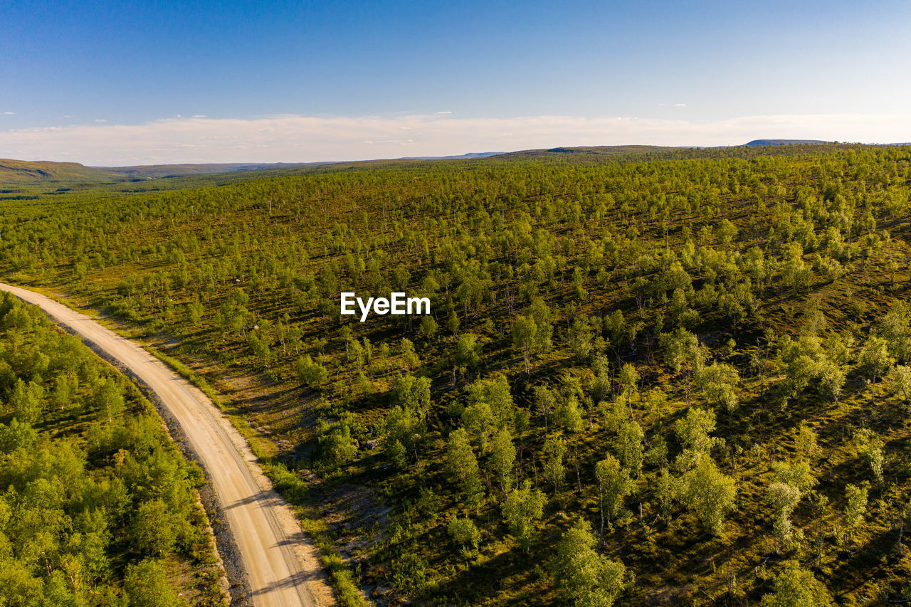 Aerial view of a dirt road surrounded by forest in nuorgam, finnish lapland