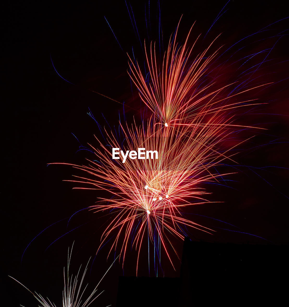 LOW ANGLE VIEW OF FIREWORK DISPLAY AGAINST SKY AT NIGHT