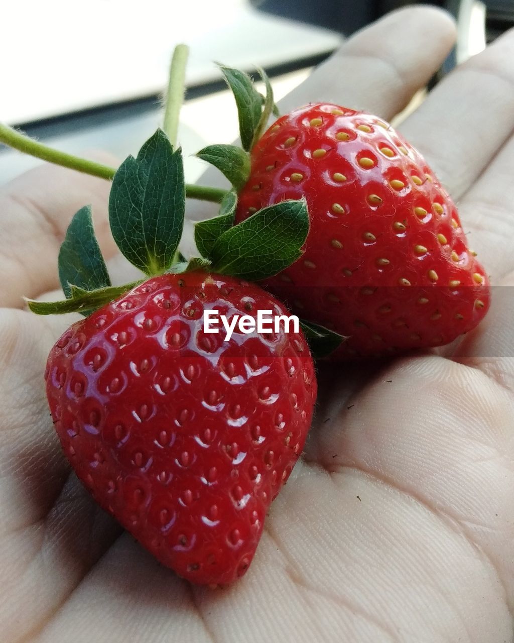 CLOSE-UP OF STRAWBERRIES ON HAND
