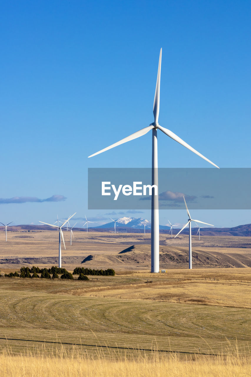 Wind turbines in a field with blue sky