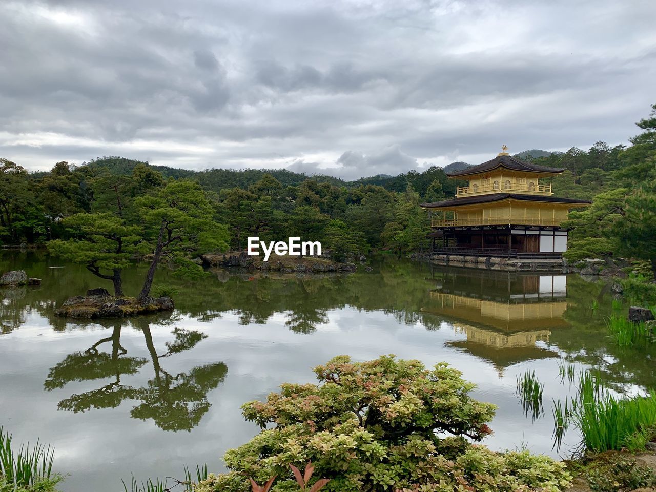 REFLECTION OF TREES AND BUILDING ON LAKE