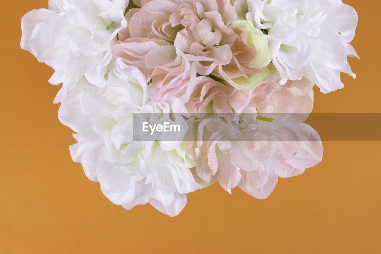 CLOSE-UP OF WHITE ROSES