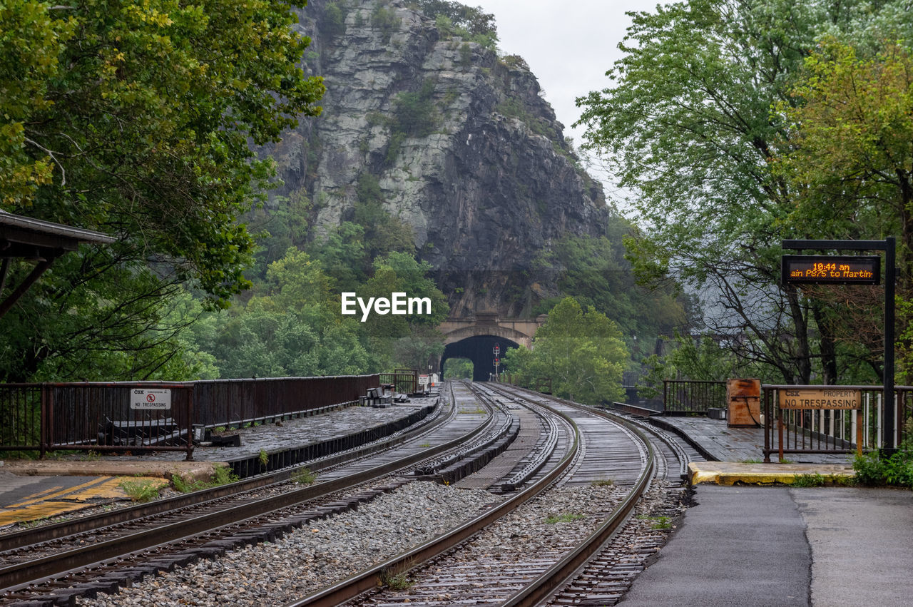 Railroad tracks amidst trees and plants