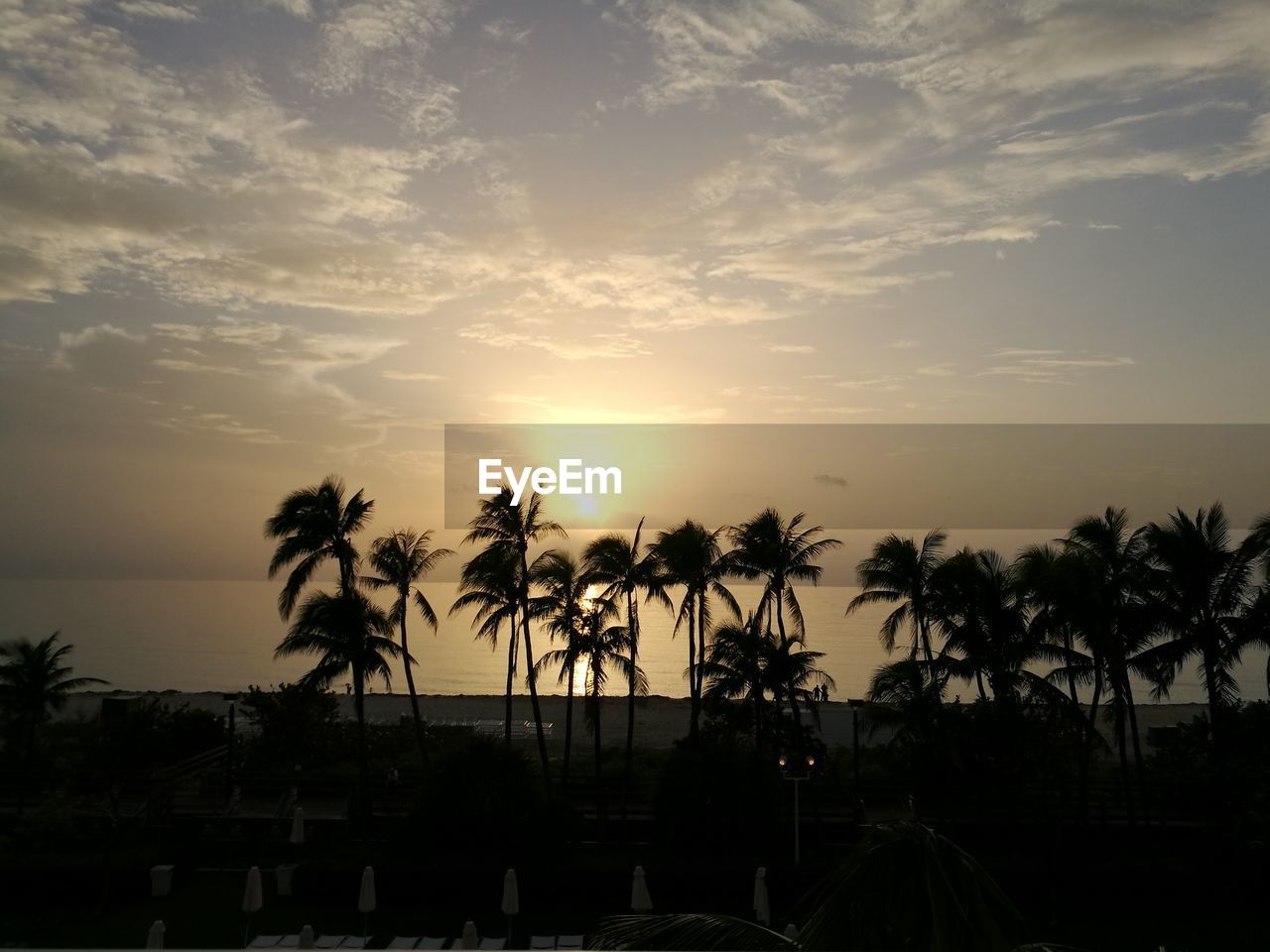 SILHOUETTE PALM TREES AGAINST SKY AT SUNSET