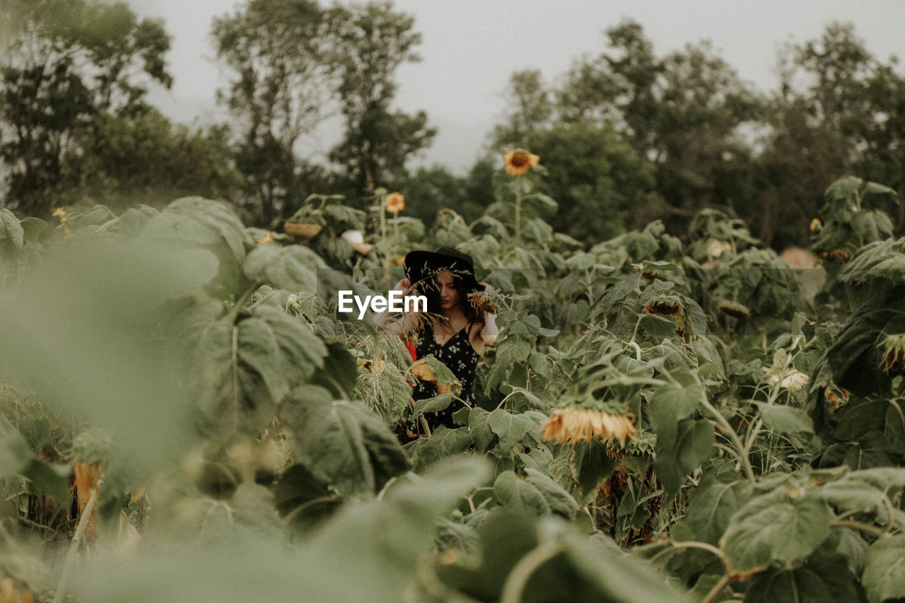 Young woman standing amidst sunflowers on field