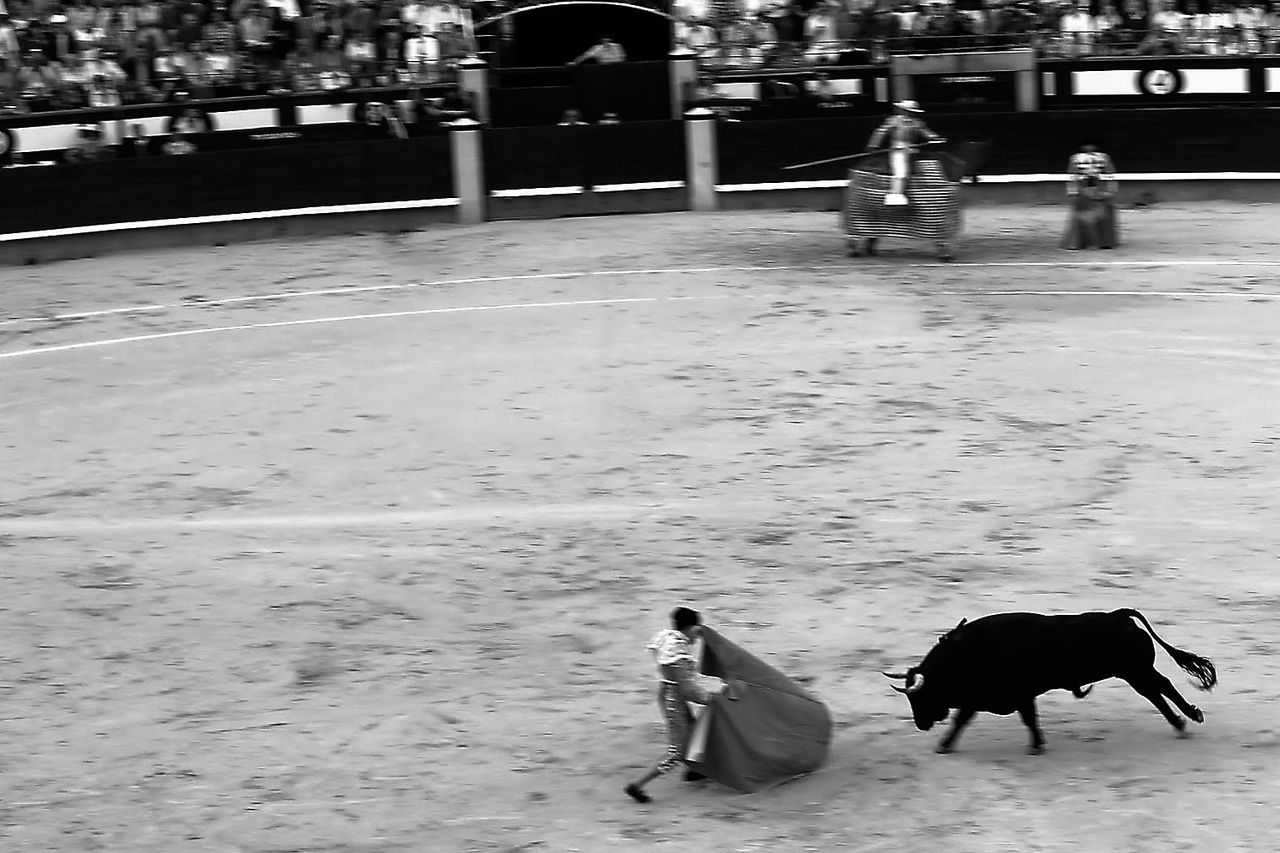 High angle view of bullfight in stadium