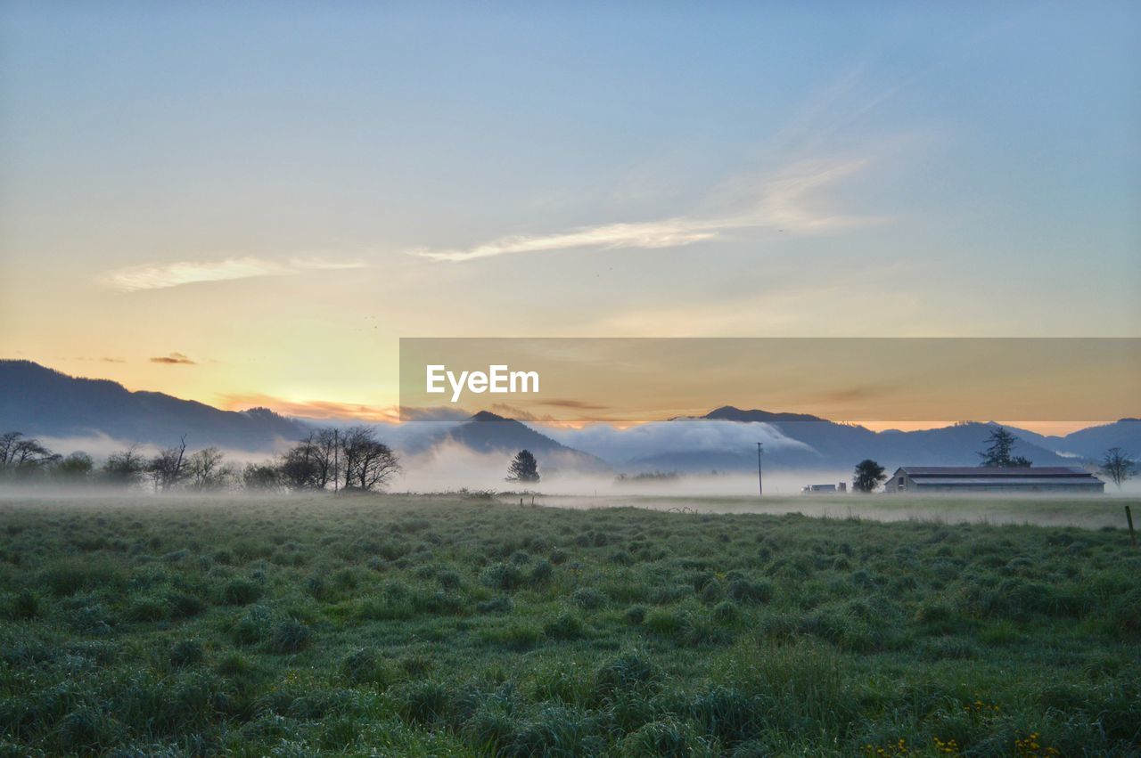 Scenic view of field against sky during sunset