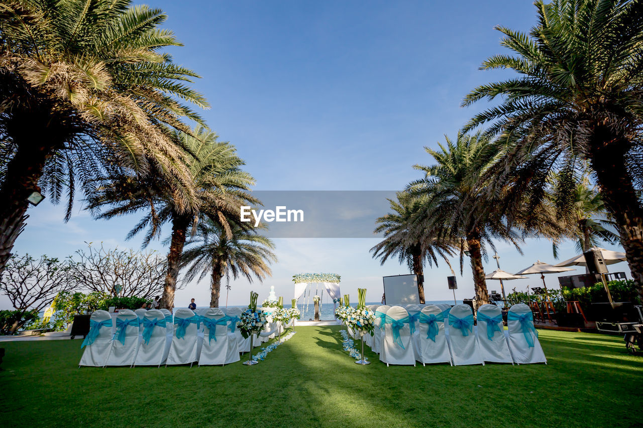 PANORAMIC SHOT OF PALM TREES AGAINST SKY