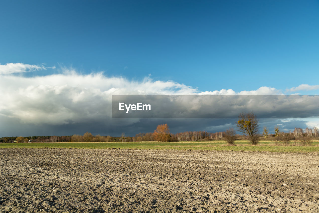 Cloud coming over a plowed field, forest on the horizon, view on a sunny day