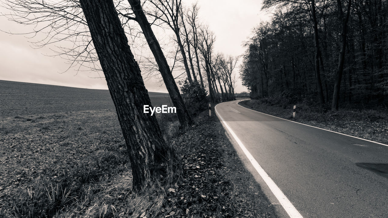 Road amidst bare trees against sky