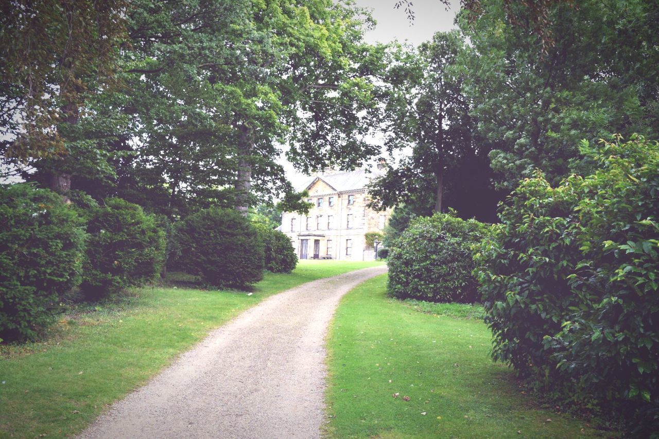 EMPTY ROAD IN PARK