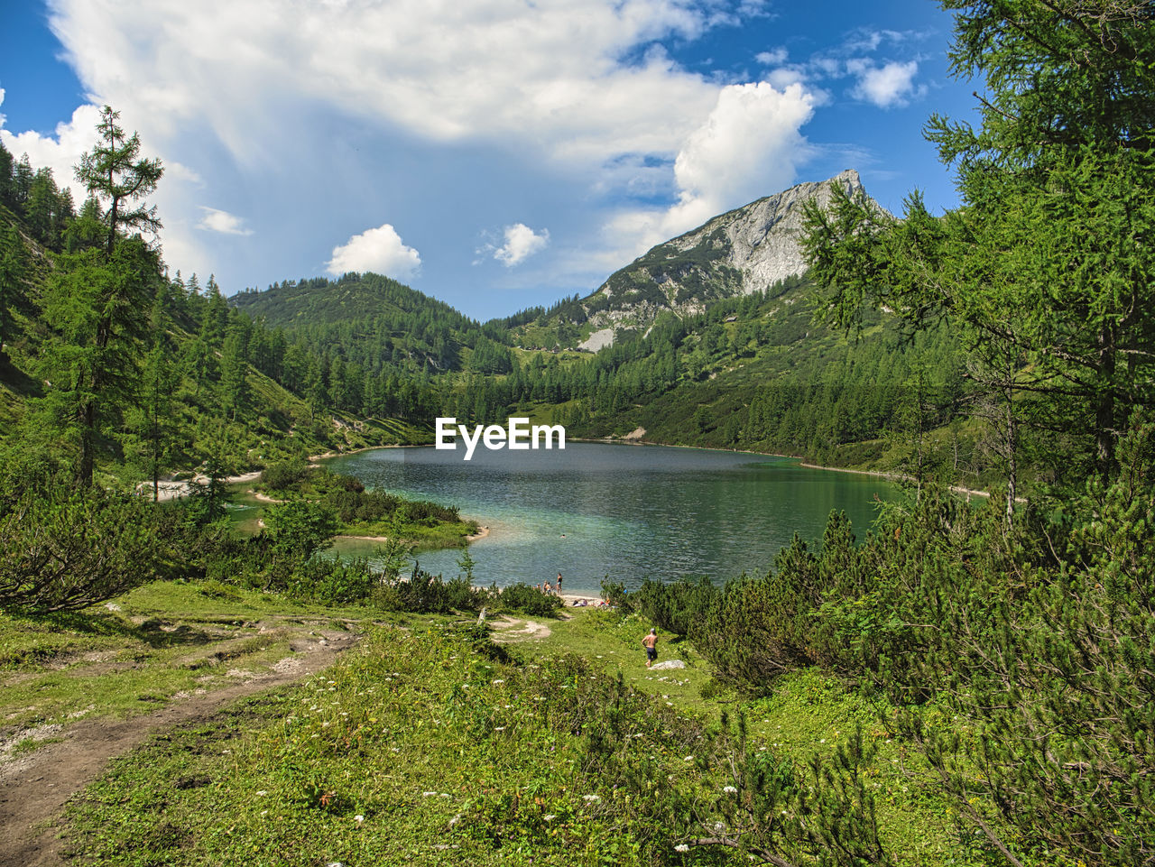 Scenic view of lake by trees against sky