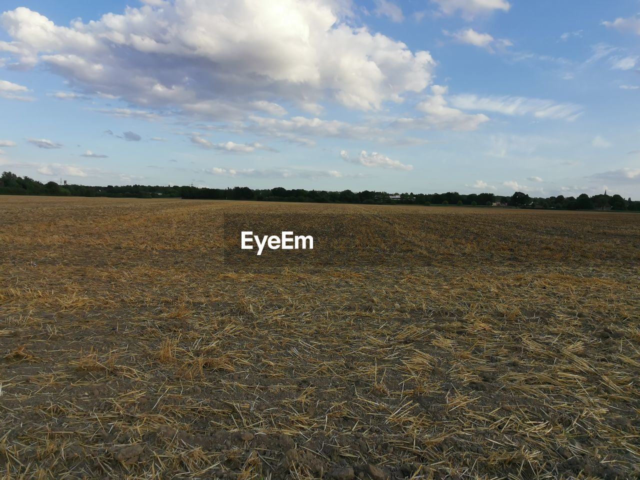 FIELD AGAINST SKY