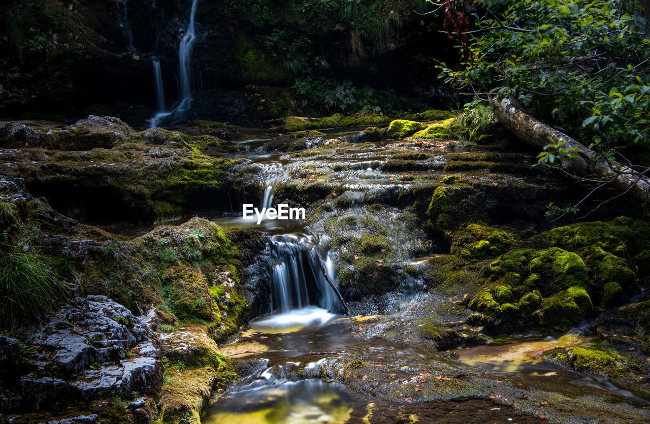 water, waterfall, beauty in nature, scenics - nature, nature, stream, forest, body of water, tree, motion, plant, land, watercourse, flowing water, environment, river, long exposure, rock, water feature, creek, autumn, flowing, wilderness, no people, non-urban scene, moss, natural environment, rainforest, blurred motion, outdoors, water resources, leaf, landscape, tranquility, idyllic, travel destinations, rapid, woodland, tranquil scene, wet, day, green