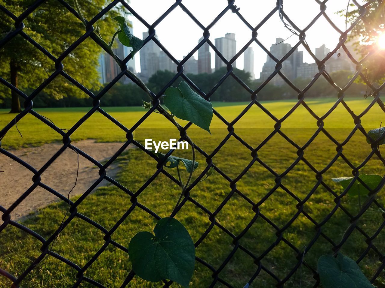 CHAINLINK FENCE ON FENCE