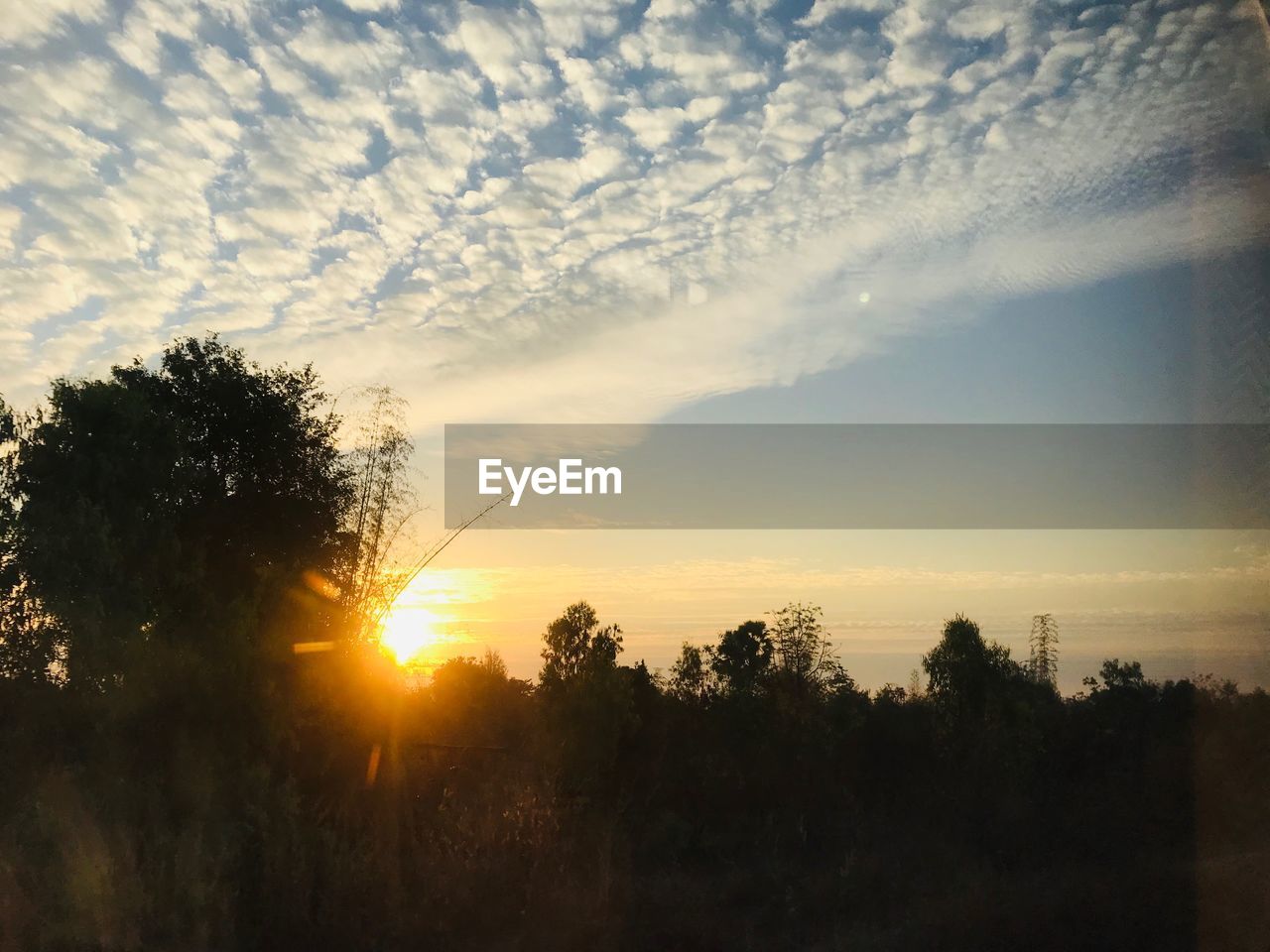 SCENIC VIEW OF SILHOUETTE TREES AGAINST SKY DURING SUNSET