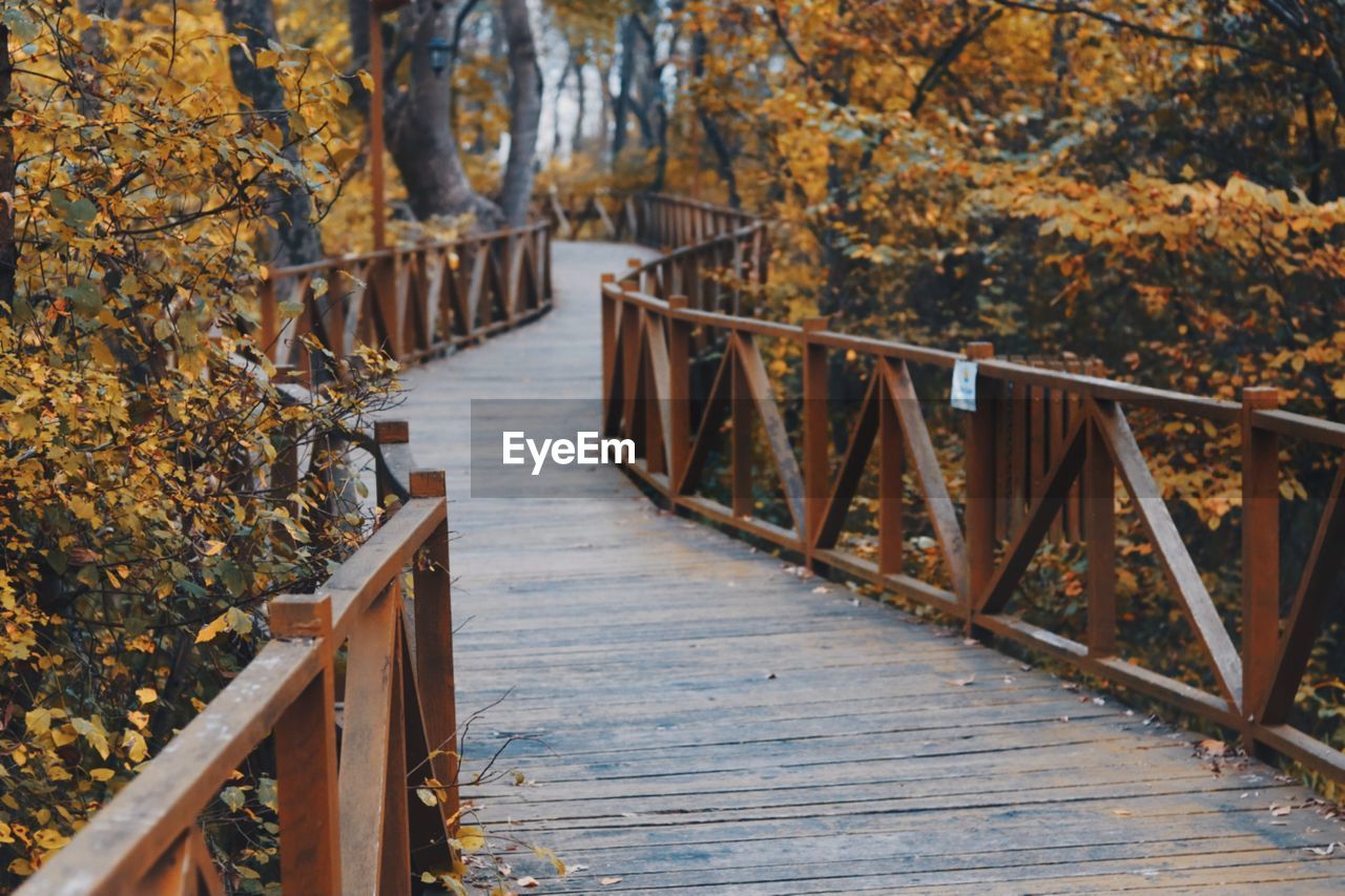 Footbridge amidst trees in forest during autumn