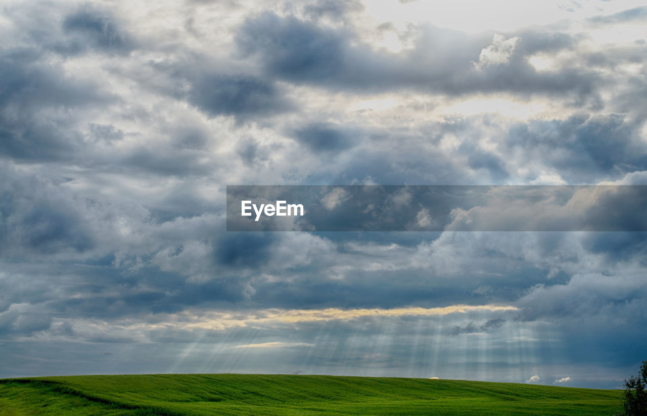 sky, cloud, environment, landscape, horizon, nature, beauty in nature, plain, land, field, scenics - nature, plant, grass, grassland, storm, cloudscape, sunlight, no people, prairie, dramatic sky, rural scene, outdoors, horizon over land, green, rural area, tranquility, day, overcast, storm cloud, thunderstorm, tranquil scene, morning, agriculture, blue, summer, non-urban scene