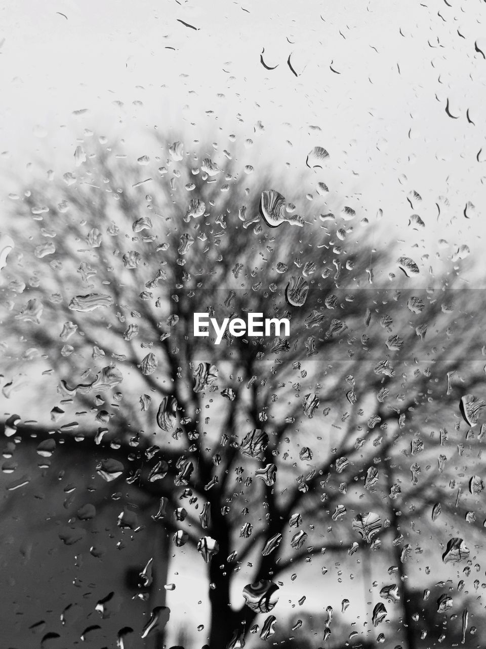 WATER DROPS ON GLASS