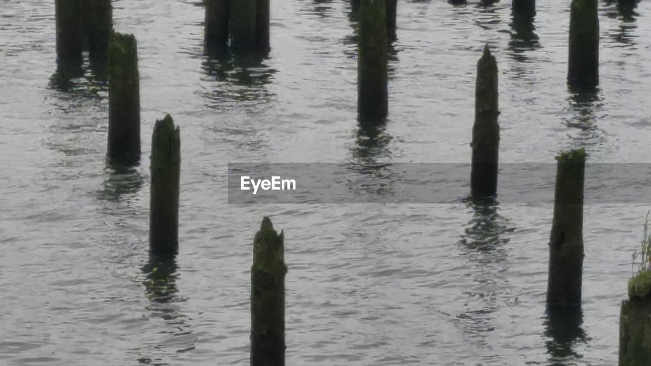 CLOSE-UP OF WOODEN POSTS IN LAKE