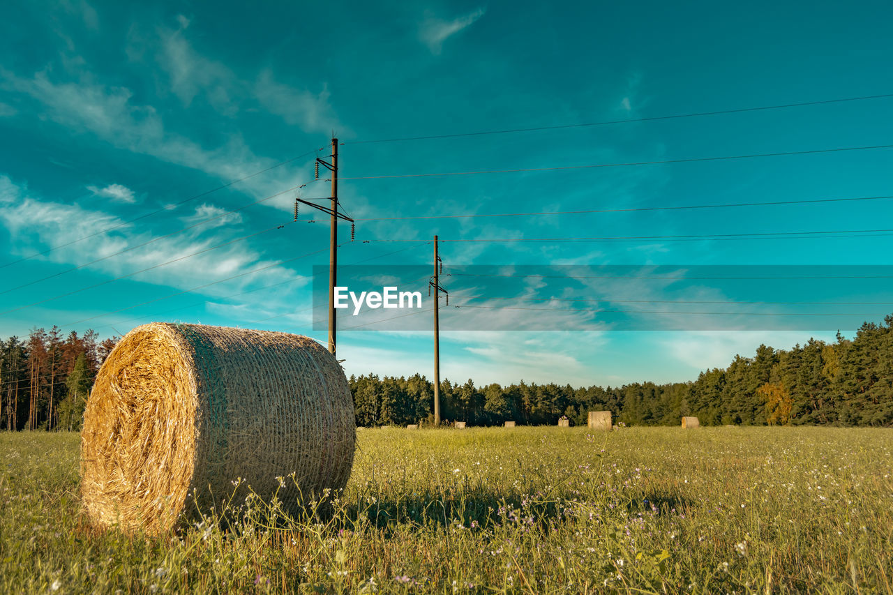 sky, landscape, bale, field, hay, agriculture, plant, land, rural scene, environment, nature, farm, grass, prairie, cloud, crop, scenics - nature, grassland, beauty in nature, rural area, tranquil scene, horizon, tranquility, harvesting, electricity, meadow, cereal plant, tree, plain, no people, technology, cable, straw, morning, growth, rolled up, blue, sunlight, idyllic, harvest, pasture, outdoors, hill, non-urban scene, day, power generation, corn, haystack, wheat, electricity pylon, power line