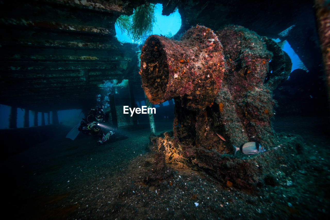 View of shipwreck underwater