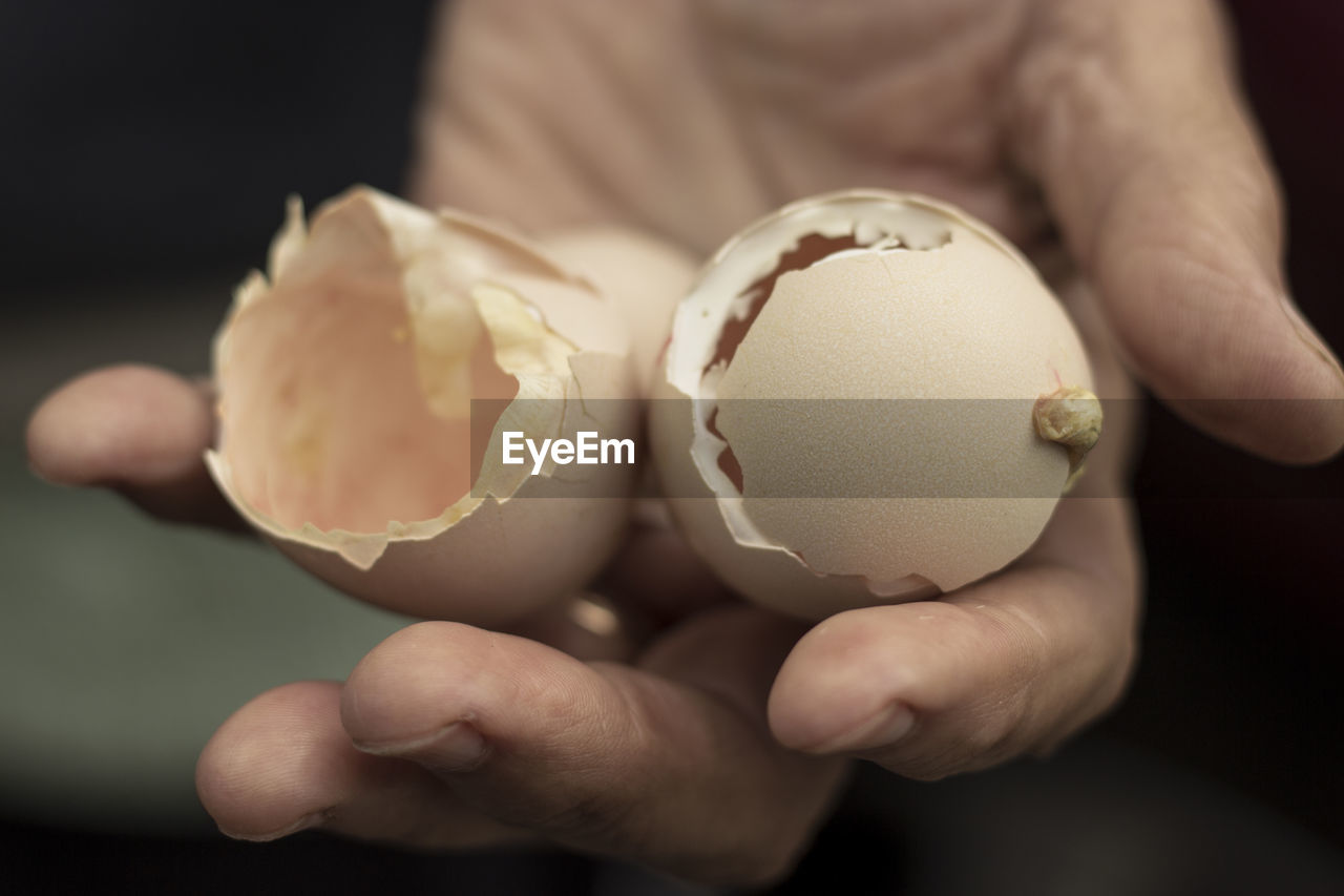 Close-up of villager holds hatched egg shell