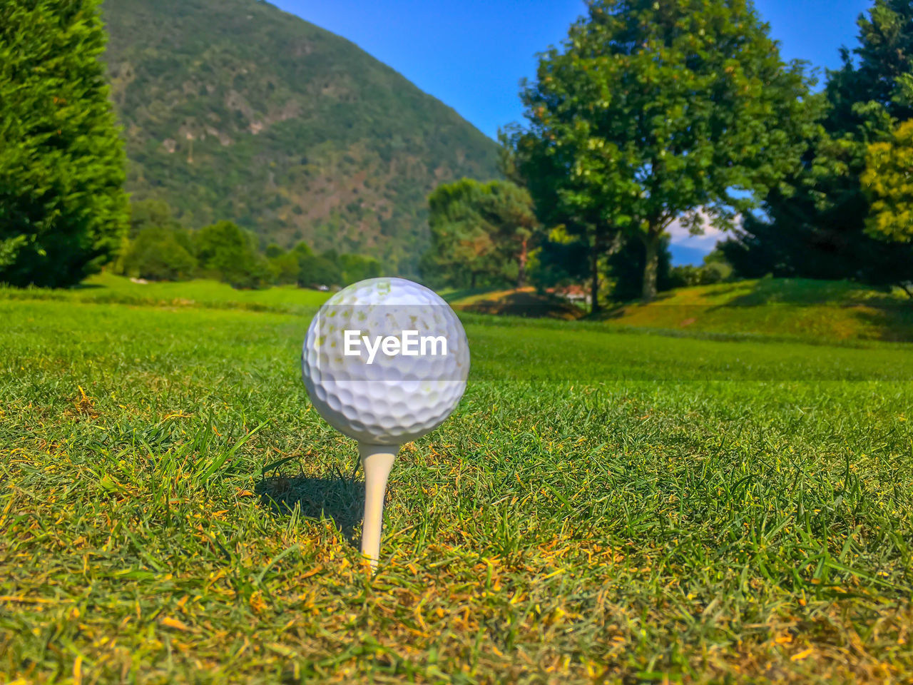 Close-up of ball on tee against trees