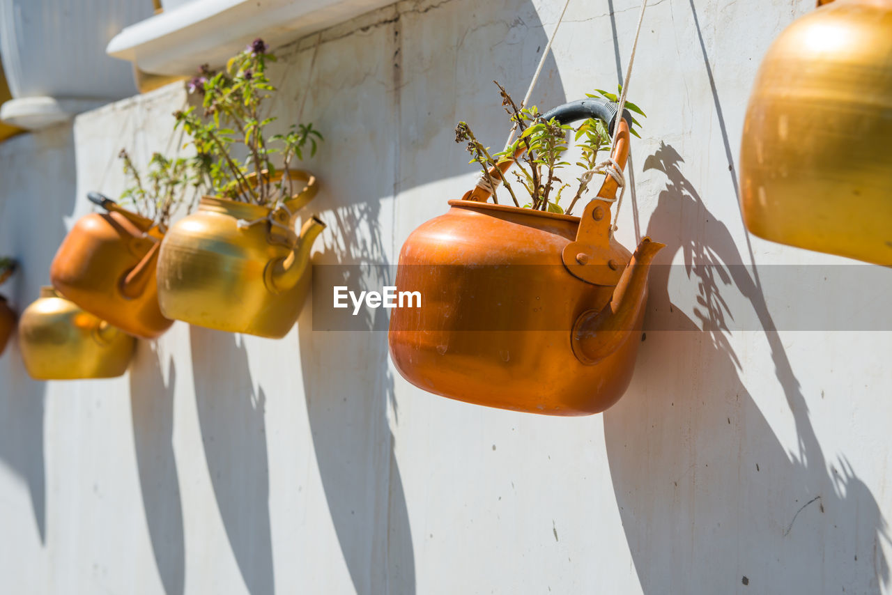 Old rustic copper kettles with plants hanging on white wall. souq waqif market, doha, qatar