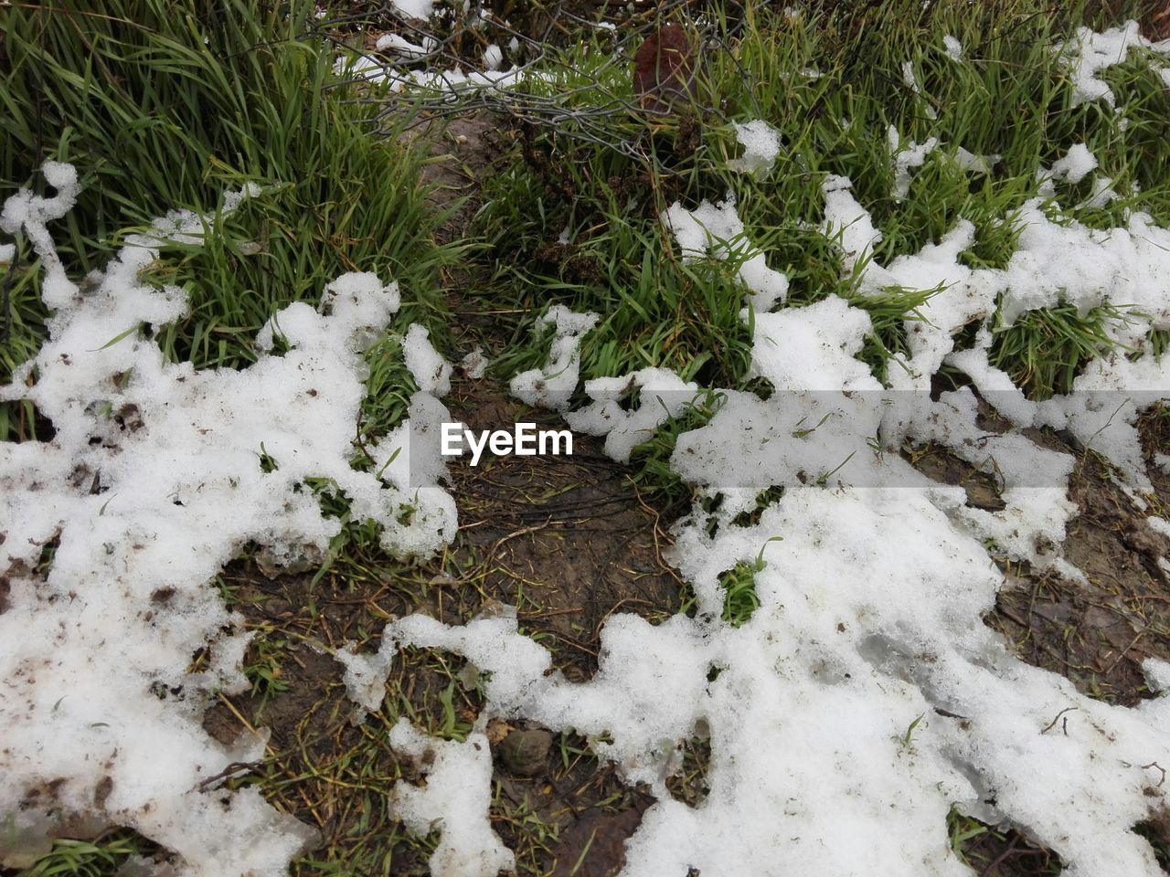 HIGH ANGLE VIEW OF SNOW COVERED FIELD