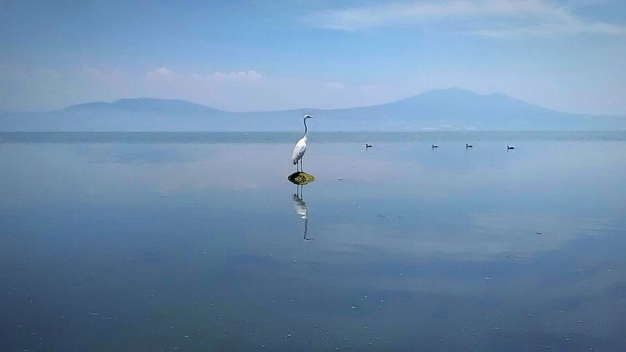 VIEW OF LAKE AGAINST SKY