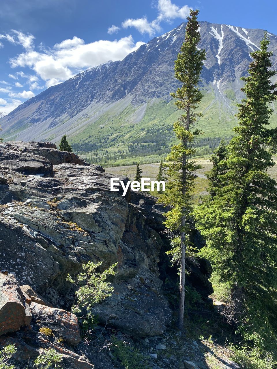 SCENIC VIEW OF LAND AGAINST SKY