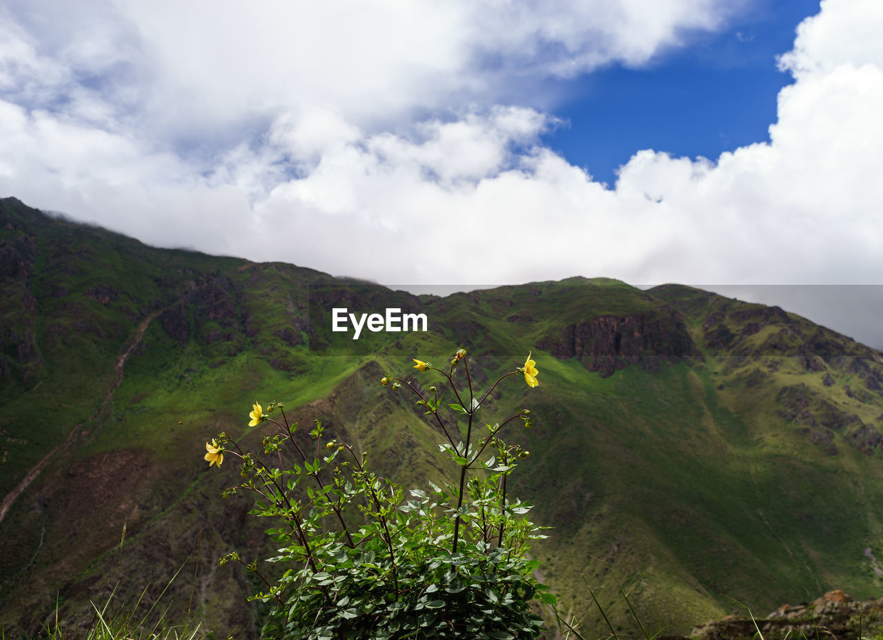 Scenic view of mountain against cloudy sky