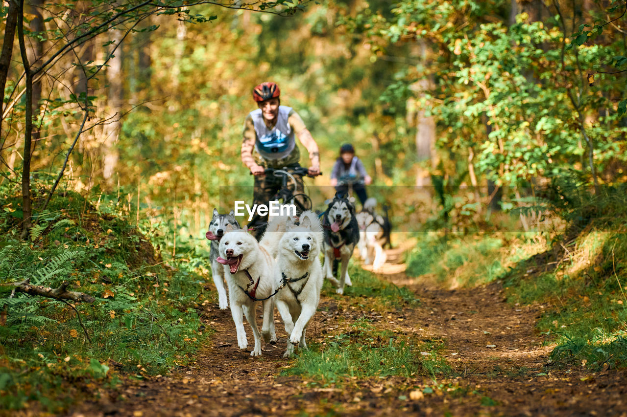 VIEW OF PEOPLE RIDING DOG ON STREET