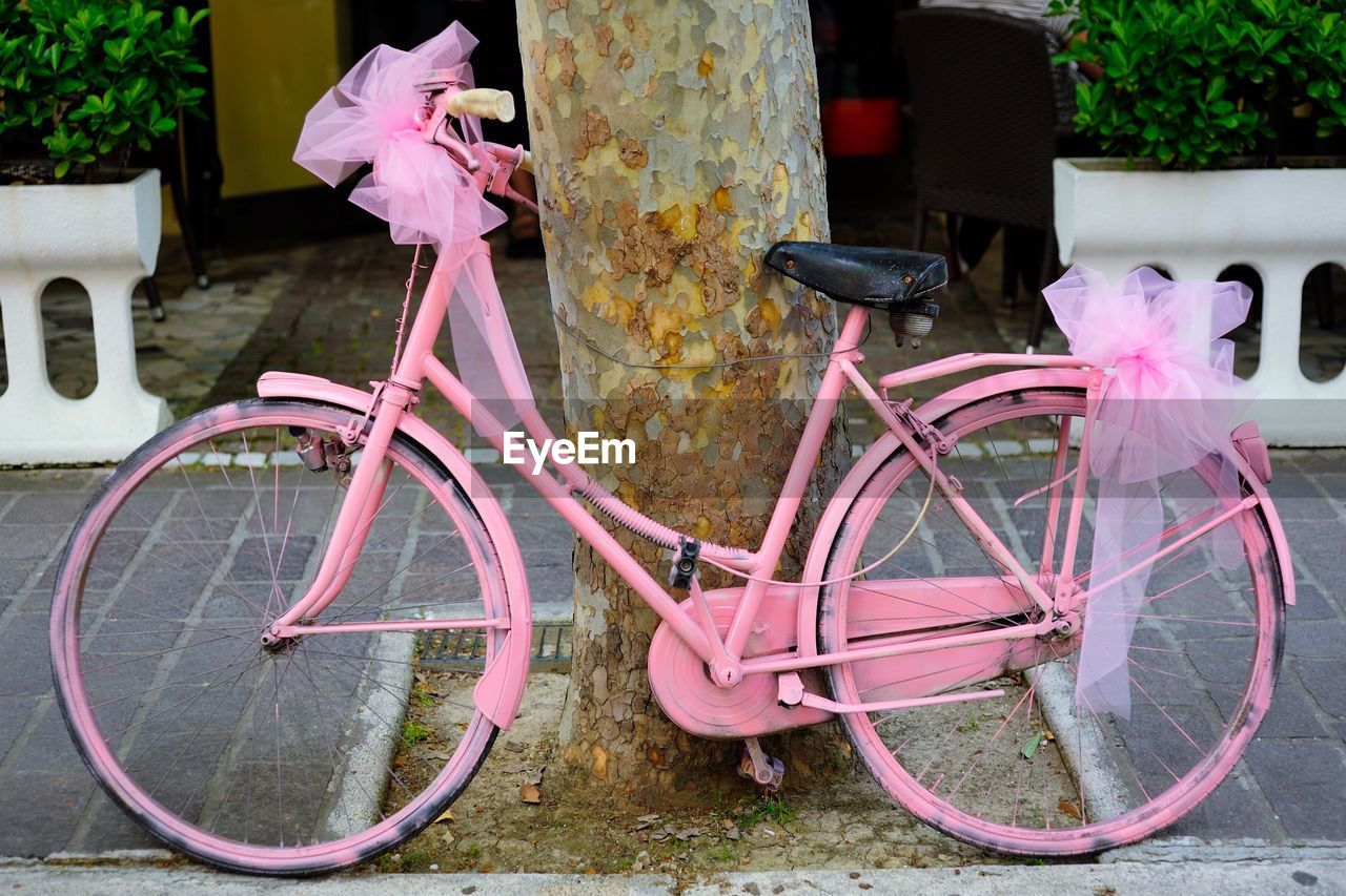 Old-fashioned pink bicycle leaning against tree trunk on sidewalk