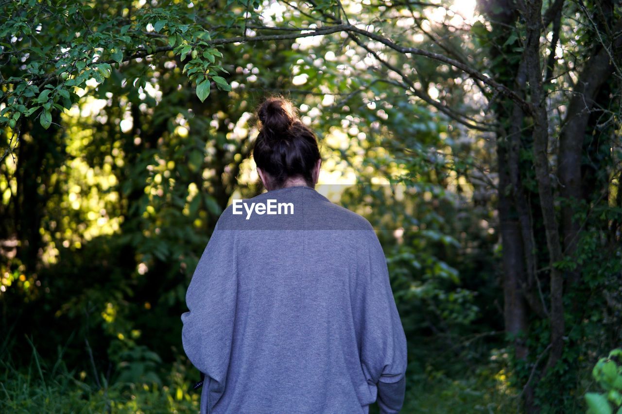 Rear view of woman standing amidst trees in forest