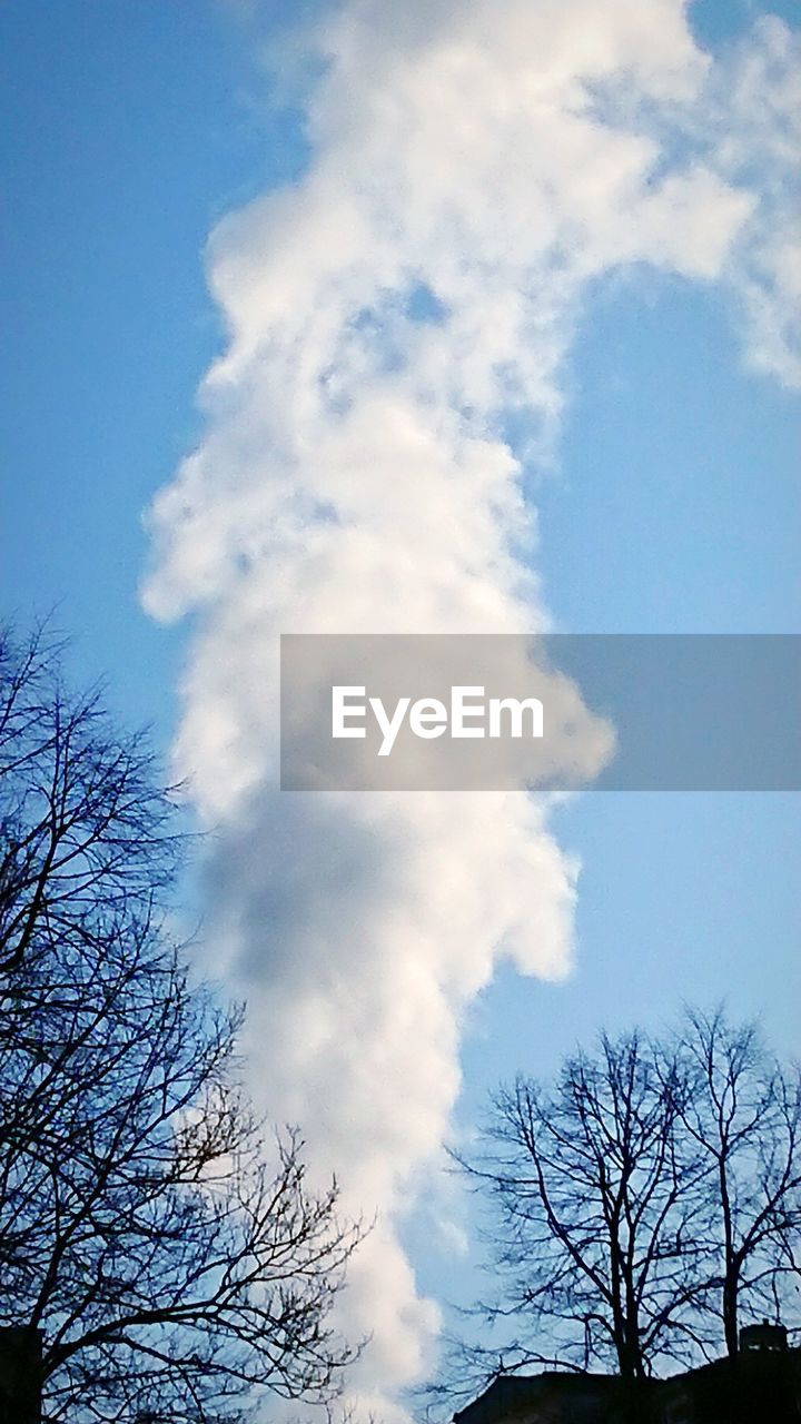 LOW ANGLE VIEW OF BARE TREE AGAINST CLOUDY SKY