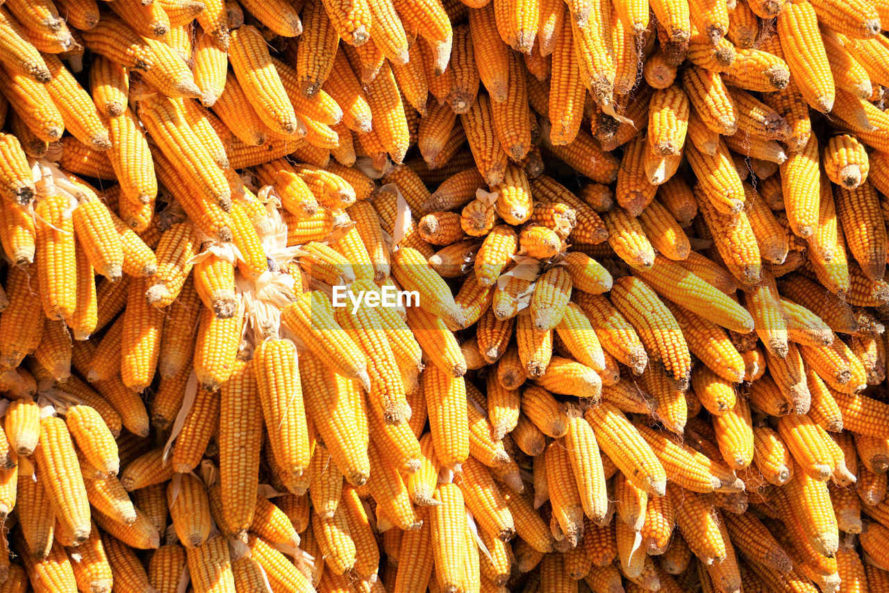 FULL FRAME SHOT OF CARROTS FOR SALE